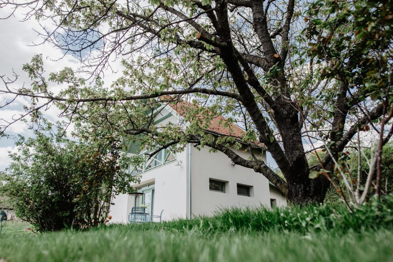 Cukormadár Vendégház Lovas Extérieur photo